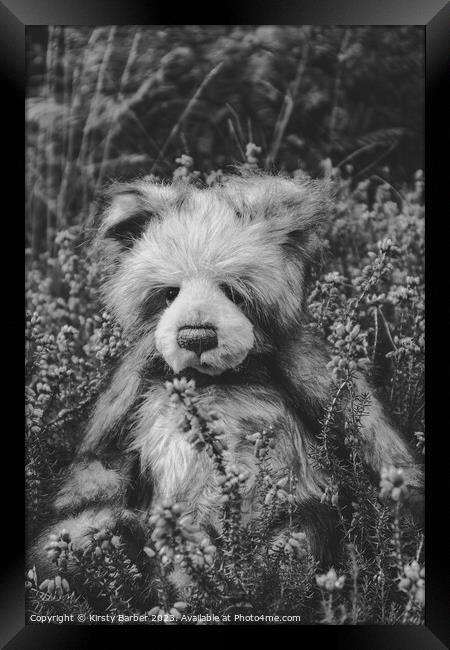 Teddy Bear in field of flowers Framed Print by Kirsty Barber