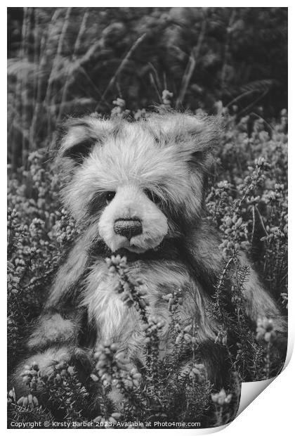 Teddy Bear in field of flowers Print by Kirsty Barber