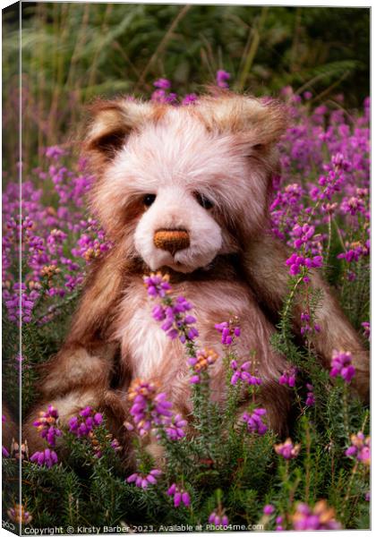 A close up of a teddy bear Canvas Print by Kirsty Barber