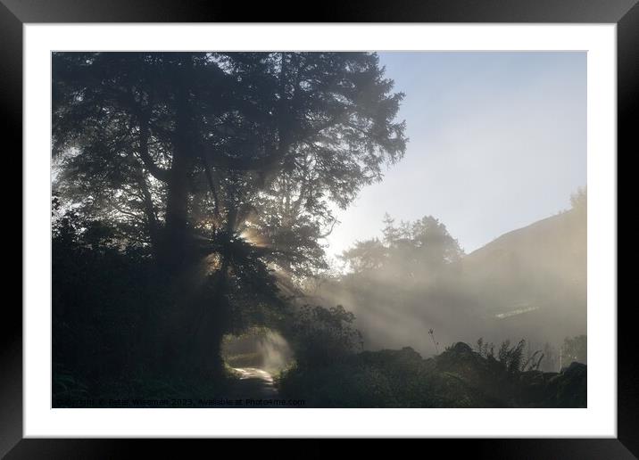 Misty morning in Wythop Valley in the English Lake Framed Mounted Print by Peter Wiseman