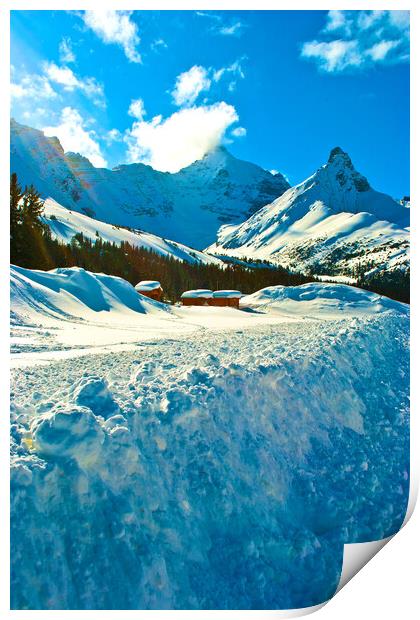Spectacular Canadian Rockies: Icefields Parkway Print by Andy Evans Photos
