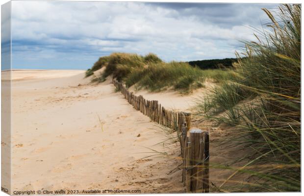 Buried picket fence Canvas Print by Clive Wells