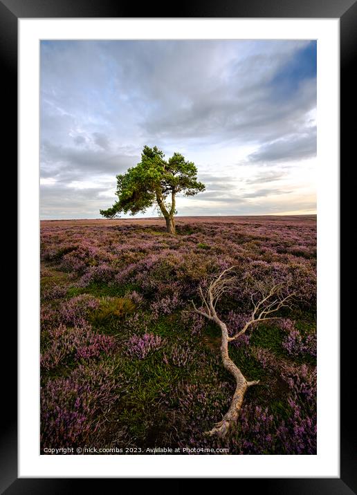 Solitary Sentinel Amidst Vibrant Verdure Framed Mounted Print by nick coombs