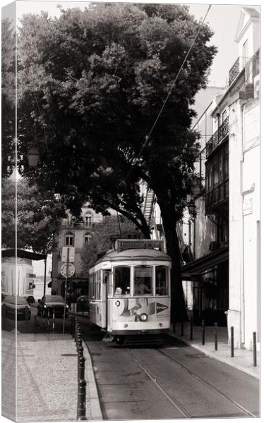Iconic tram of Lisbon Portugal Canvas Print by Steve Painter