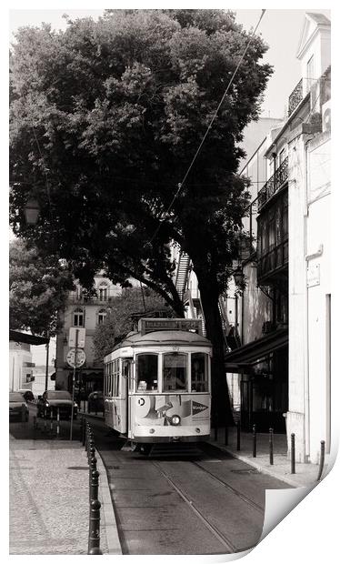 Iconic tram of Lisbon Portugal Print by Steve Painter
