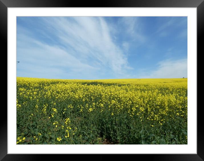 Outdoor field Framed Mounted Print by Gordon Hickman