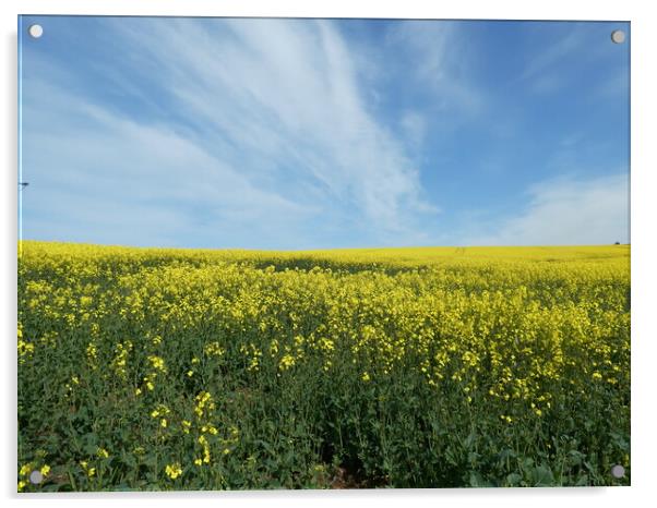 Outdoor field Acrylic by Gordon Hickman