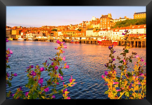 Whitby Yorkshire Coast Memories Framed Print by Tim Hill