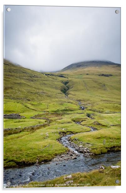 Irish mountain sheep graze on the wet green hills. Acrylic by Joaquin Corbalan
