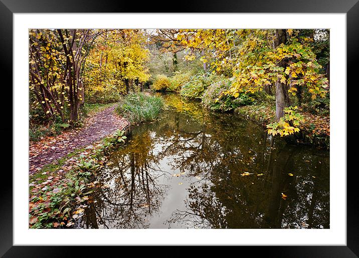 Pathway along Stream Framed Mounted Print by Stephen Mole