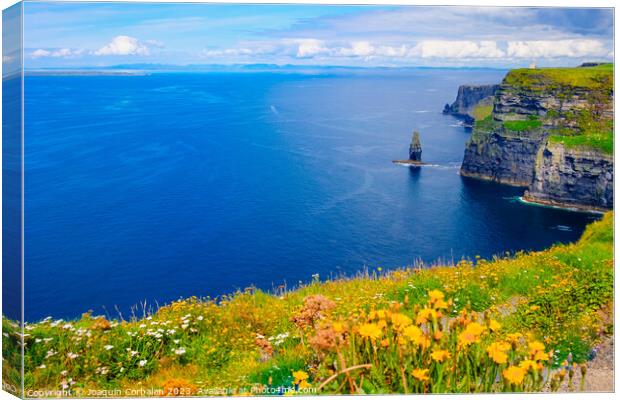 Beautiful view of the Cliffs of Moher, a calm blue sea with copy space. Canvas Print by Joaquin Corbalan