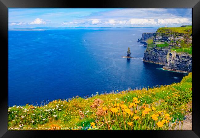 Beautiful view of the Cliffs of Moher, a calm blue sea with copy space. Framed Print by Joaquin Corbalan