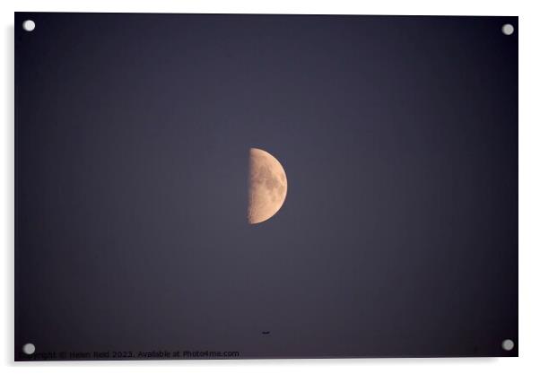 Half moon with an aeroplane directly underneath Acrylic by Helen Reid