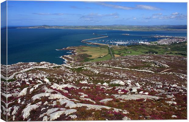 View from Holyhead Mountain Canvas Print by Gail Johnson