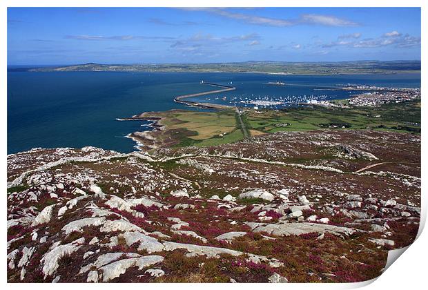View from Holyhead Mountain Print by Gail Johnson
