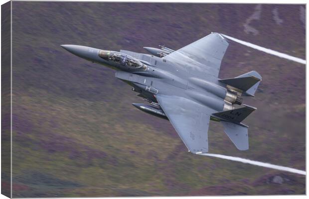 F14 Eagle low level Canvas Print by Rory Trappe