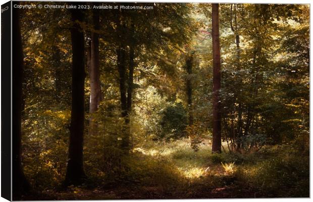 Forest Gold Canvas Print by Christine Lake