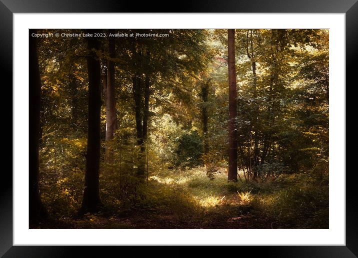 Forest Gold Framed Mounted Print by Christine Lake