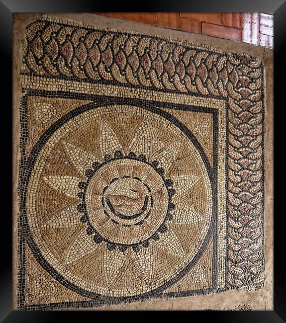Roman mosaic floor in Italy Framed Print by Steve Painter