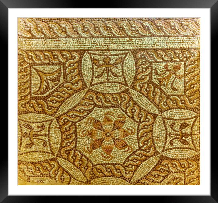 Intricate roman mosaic flooring Framed Mounted Print by Steve Painter