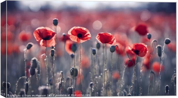 Vibrant Poppies: A Microcosm of Life Canvas Print by Tom McPherson