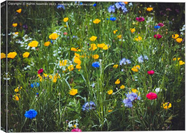 Wildflower Canvas Print by Martin Newman