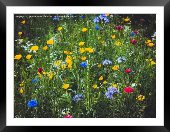 Wildflower Framed Mounted Print by Martin Newman