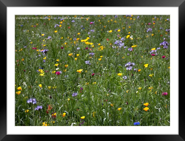 Wildflowers Framed Mounted Print by Martin Newman