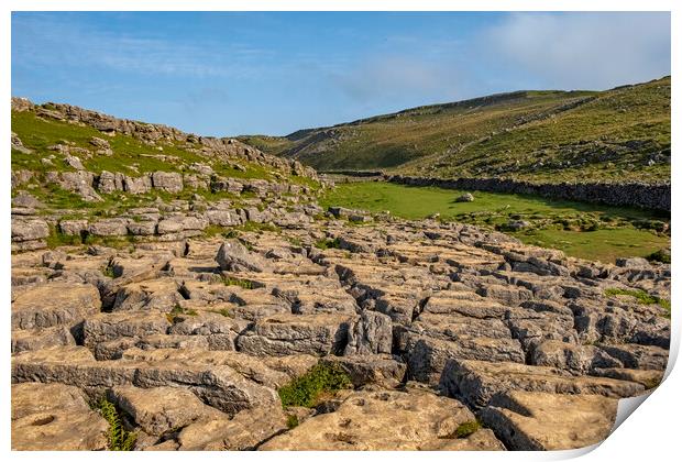 Limestone Pavement Malham Print by Steve Smith