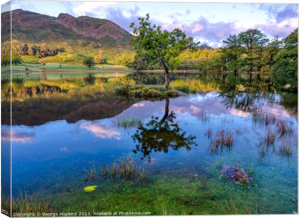 Rydal Tree at Sunrise version 1 Canvas Print by George Hopkins
