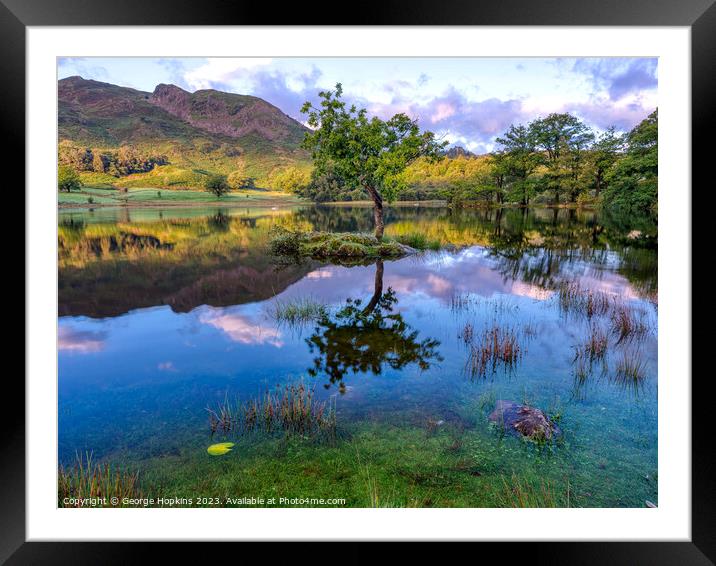 Rydal Tree at Sunrise version 1 Framed Mounted Print by George Hopkins