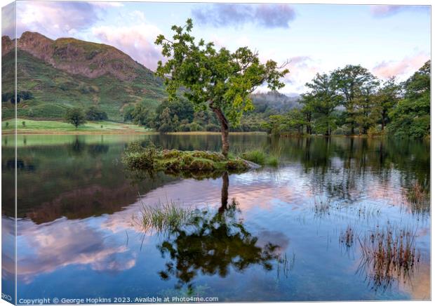 Rydal Tree at Sunrise version 2 Canvas Print by George Hopkins