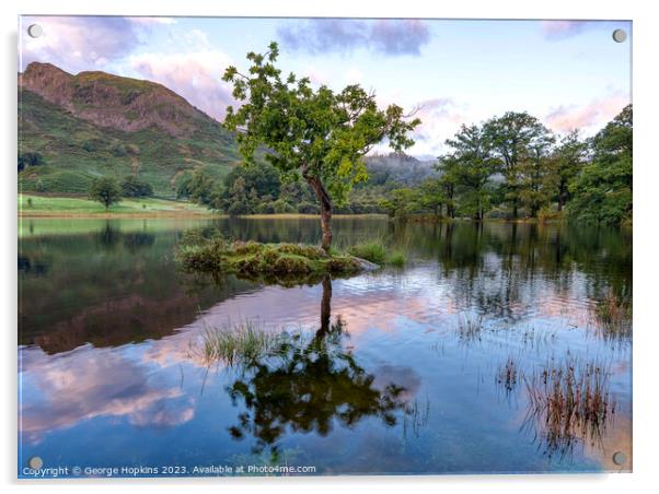 Rydal Tree at Sunrise version 2 Acrylic by George Hopkins