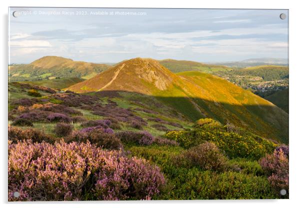 Long Mynd Heather Acrylic by Daugirdas Racys