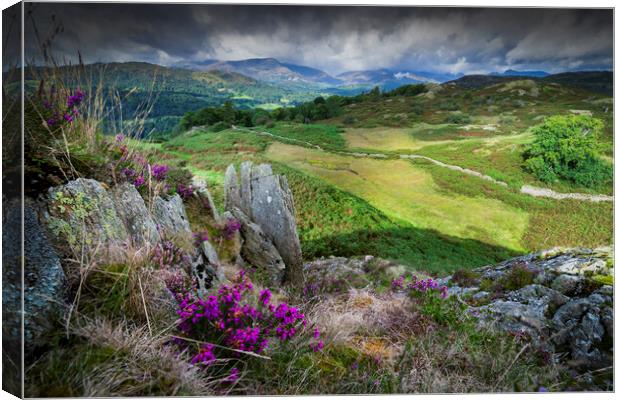 Loving Loughrigg Fell  Canvas Print by Jonny Gios