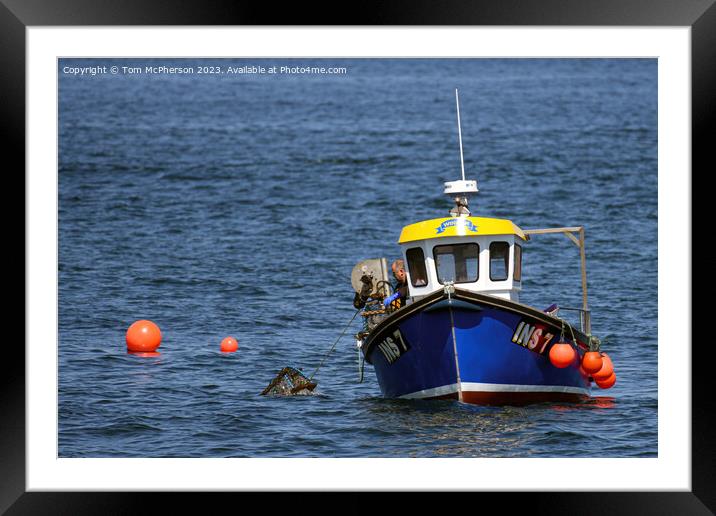 Harvesting Neptune's Bounty at Burghead Framed Mounted Print by Tom McPherson