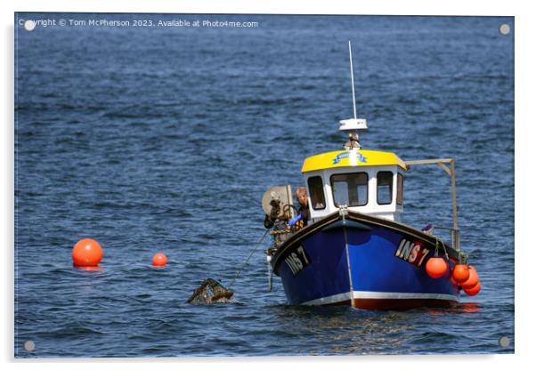 Harvesting Neptune's Bounty at Burghead Acrylic by Tom McPherson