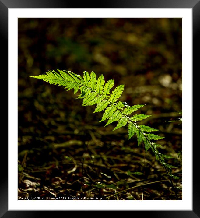 Plant leaves Framed Mounted Print by Simon Johnson