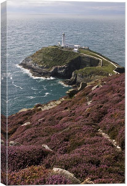 View to South Stack Canvas Print by Gail Johnson