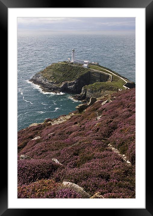 View to South Stack Framed Mounted Print by Gail Johnson