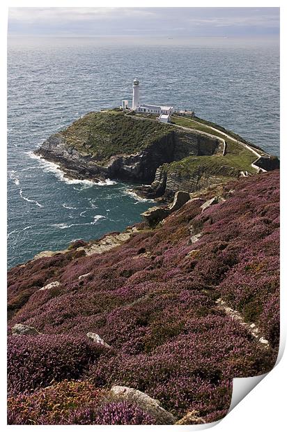View to South Stack Print by Gail Johnson
