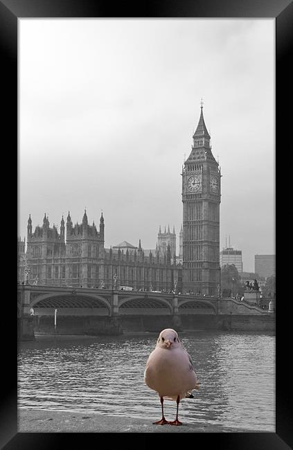 London sight seeing Framed Print by David French