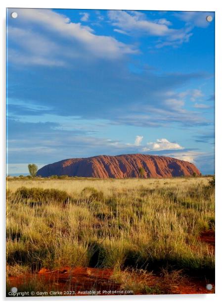Uluru Wilderness Acrylic by Gavin Clarke