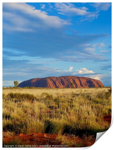 Uluru Wilderness Print by Gavin Clarke