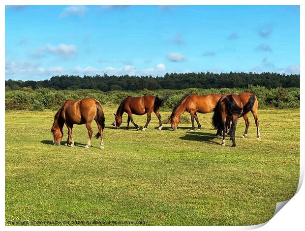 Wild ponies in The New Forest Print by Gemma De Cet