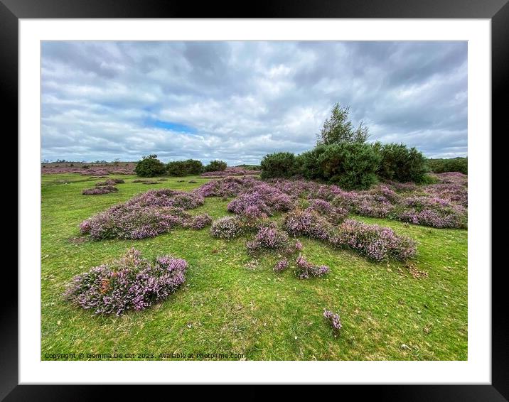 Purple Heather Landscape  Framed Mounted Print by Gemma De Cet