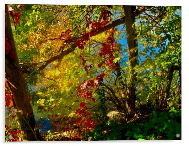 Red vines Acrylic by Stephanie Moore