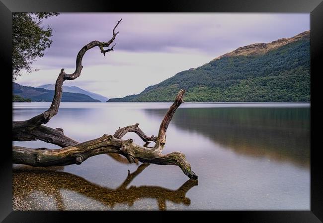 Loch Lomond Framed Print by Jason Moss