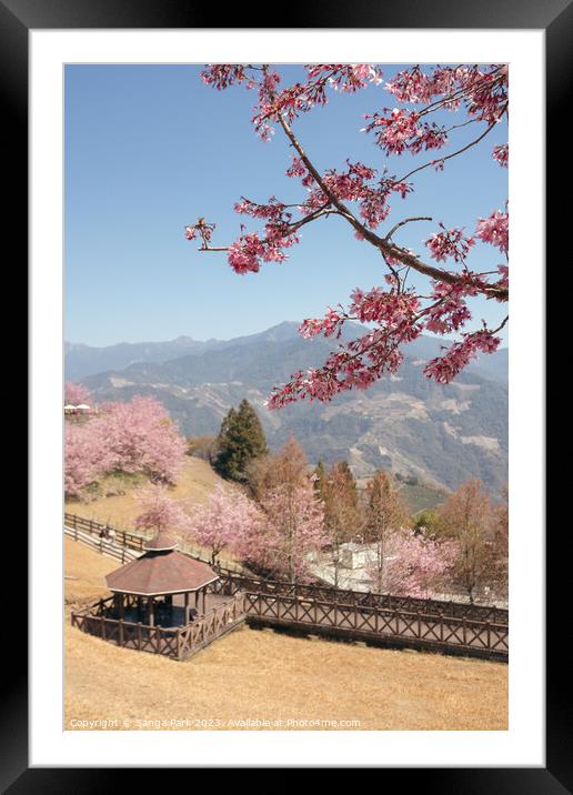 Spring of Cingjing Farm in Taiwan Framed Mounted Print by Sanga Park