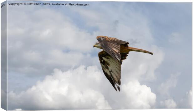 Soaring Red Kite Captures Sky's Majesty Canvas Print by Cliff Kinch